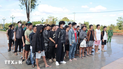 Vietnam menerima 63 warga negara Vietnam yang dipulangkan dari Kamboja.