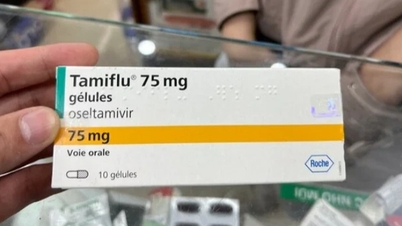 독감 유행 시기에 타미플루를 사려고 하는데, 어떤 곳은 품절이고, 어떤 곳은 한 알에 6만 VND나 주고 팔고 있어요.