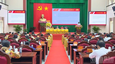 মহিলা কর্মীদের মূল্য এবং যত্ন।