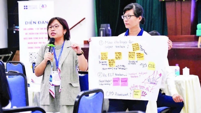 Prioritize foreign language teaching programs in border areas.
