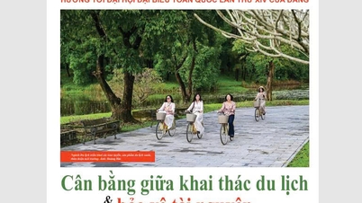 Please read Hue Today Weekend issue 51, published on December 18th.