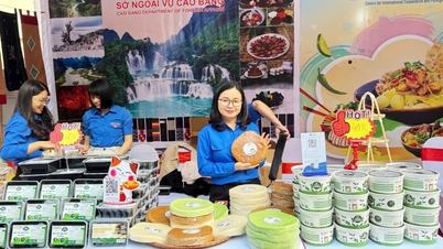 Dong Khe agricultural products affirm their position on the journey to achieving OCOP standards - Cao Bang Online Newspaper