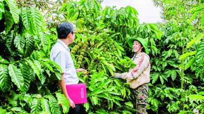 Agribank membawa perbankan "pintar" ke ladang dan ladang.