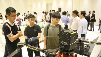 College-level training within universities: Concerns that theory will overshadow practical skills.