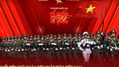 Bầu chọn giải Mai Vàng lần thứ 31 - 2025 Hạng mục chương trình chính luận