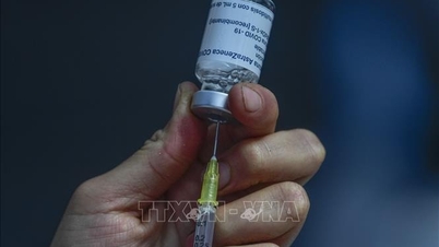 Τα εμβόλια κατά της COVID-19 βοηθούν στη μείωση του κινδύνου σοβαρής ασθένειας και πρόωρου τοκετού σε έγκυες γυναίκες.