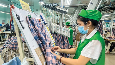 Implement a comprehensive set of mechanisms and policies for the development of the private economy.