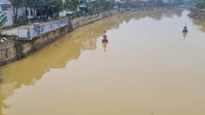 The Dong Ba River embankment project should be handed over to the management unit as soon as possible.