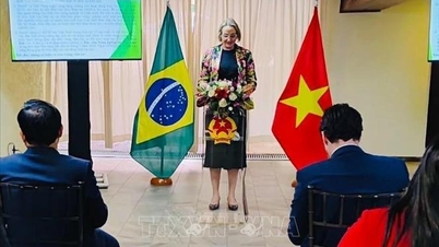 ベトナムとブラジルはスマート農業分野での協力を強化した。