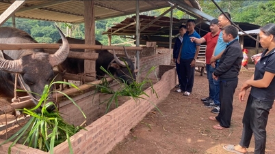 គំរូជីវភាពរស់នៅប្រកបដោយភាពច្នៃប្រឌិតកំពុងផ្លាស់ប្តូរតំបន់ខ្ពង់រាបមឿងទុង។