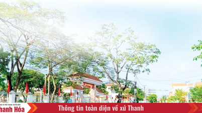 Nga Sơn xây dựng xã NTM nâng cao, hướng đến đô thị văn minh