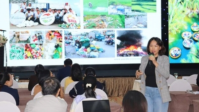 Đà Nẵng: Các cơ sở kinh doanh dịch vụ du lịch cần chú trọng bảo vệ môi trường