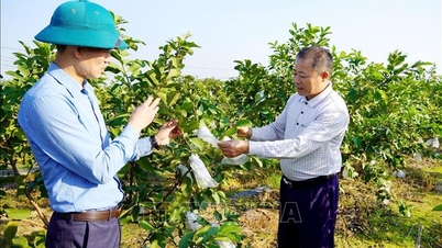 Supporting farmers in innovating production thinking.