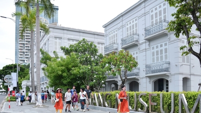 Het Da Nang Museum organiseert diverse buitenschoolse educatieve activiteiten.