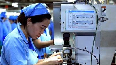 Vietnam's economic growth through the 'lens' of UOB experts.