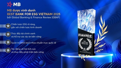 MB được vinh danh “Best Bank for ESG Vietnam 2025” bởi Global Banking & Finance Review