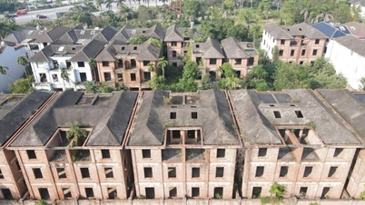 Una serie de villas valuadas en miles de millones de VND se encuentran abandonadas en una zona urbana desierta de Bac Ninh.