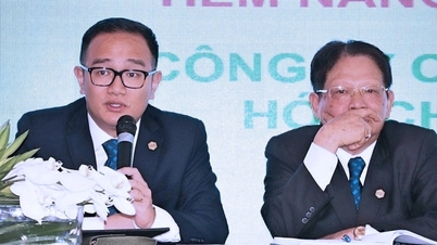 Harga saham Duc Giang Chemical Group menjunam, pemegang saham utama kerugian 3,180 bilion VND.