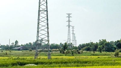 Pembinaan talian kuasa 110kV Ba Tri-Binh Thanh sedang dipercepatkan.