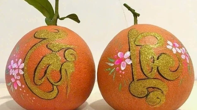 Zwei Millionen Dong für eine einzige Bio-Pomelo (rot), die für Könige während des Tet-Festes geeignet ist.
