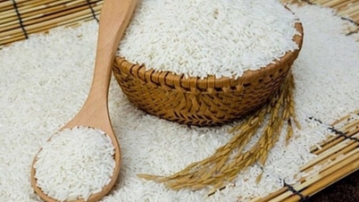 Prix ​​du riz aujourd'hui, 18 décembre 2025 : fluctuations en sens inverse.