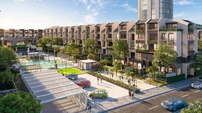 Met de officiële ingebruikname van metrolijn 5 bloeit de vastgoedmarkt in Hoa Lac op, wat een domino-effect teweegbrengt.