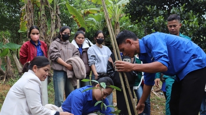 Gir praktisk støtte til unge mennesker i fjellområder for å bygge bærekraftige levebrød.
