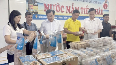 Les aspirations des agriculteurs de Hung Yen à l'ère du perfectionnement personnel.