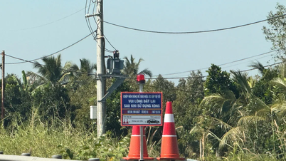 Des balises réfléchissantes en forme de cône contribuent à réduire les accidents de la route sur l'autoroute Trung Luong – My Thuan.