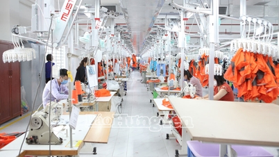 Société par actions Hung Long Garment and Services : 30 ans de construction et de développement d'une marque.