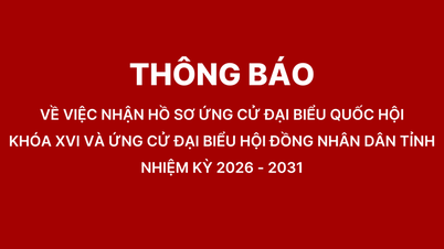 2026～2031年任期の第16期国会及び省人民評議会選挙の立候補受付開始のお知らせ。