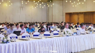 Training on digital transformation in the Central region in 2025