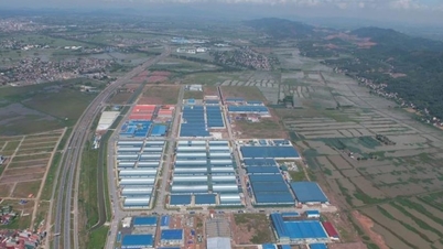 Bac Ninh: Lichien Vietnam Company is required to strictly comply with environmental protection regulations.