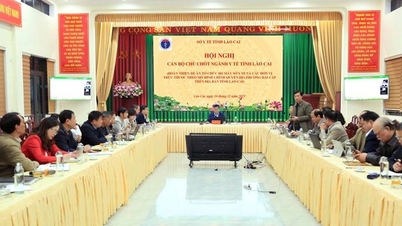 Departement van Volksgezondheid van de provincie Lao Cai: Organiseerde een conferentie met belangrijke functionarissen om het plan af te ronden voor de reorganisatie van het Departement van Volksgezondheid en de daaraan verbonden eenheden volgens het tweelaagse lokale bestuursmodel in de provincie Lao Cai.