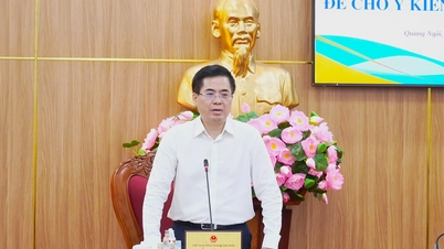 A tájékoztató ülést Nguyễn Hoang Giang, a Tartományi Népi Bizottság elnöke vezette, és véleményt nyilvánított számos, a hatáskörébe tartozó feladatról.