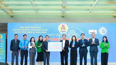 동다구에서 "다이내믹 프로젝트"가 시작되었습니다.