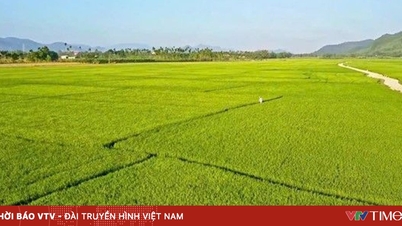 វិស័យចំណេះដឹងក្នុងយុគសម័យកសិកម្មឌីជីថល
