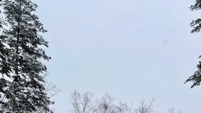 Hokkaido: První sněžení při -10 °C ve městě Niseko v Japonsku.