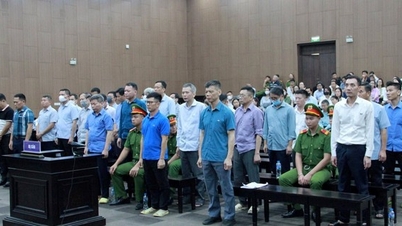 Appeals trial in the case at Thuan An Group