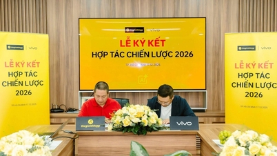 The Gioi Dien Thoai (Mobile World) and vivo sign strategic cooperation agreement.