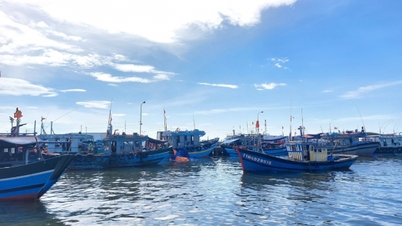 Hue menyediakan sokongan kewangan untuk penukaran pekerjaan bagi kapal nelayan yang telah menghentikan operasi.