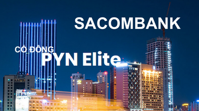 មូលនិធិ PYN Elite លក់ភាគហ៊ុន STB ចំនួន 4 លានហ៊ុន ដោយឈប់ធ្វើជាភាគទុនិកសំខាន់។
