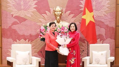 Vice Chairwoman of the National Assembly Nguyen Thi Thanh receives the Cambodian Ambassador.