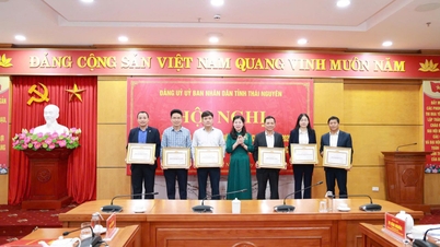 The Party Committee of Thai Nguyen Provincial Post Office was awarded for "Outstanding performance in fulfilling political tasks in 2025".