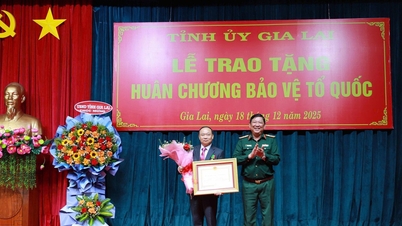 Bí thư Tỉnh ủy Gia Lai nhận Huân chương Bảo vệ Tổ quốc