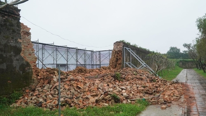 Hue City spends 2.2 billion VND on emergency repairs following the collapse of the Imperial Citadel wall.