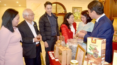 Menghubungkan penawaran dan permintaan produk antara Tuyen Quang dan Lam Dong.