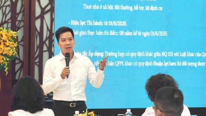 Ho Chi Minh-stad kondigt 8 percelen aan die in 2026 bestemd zijn voor de bouw van sociale woningen.