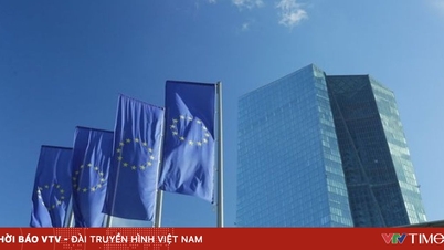 ECB nhiều khả năng giữ nguyên lãi suất trong cuộc họp tháng 12/2025