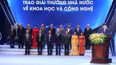 Ho Chi Minh Prize, State Prize for Science and Technology, 7th round: Notable milestones